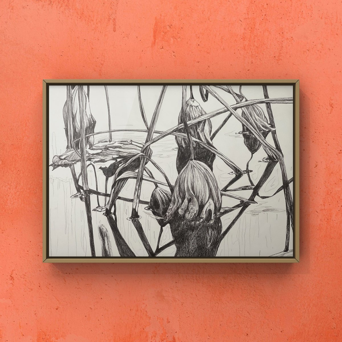 Graphic Botanical Pencil Drawing By Guzel Min, 20 X 14, Lotus Pond. Autumn, Original Artwork