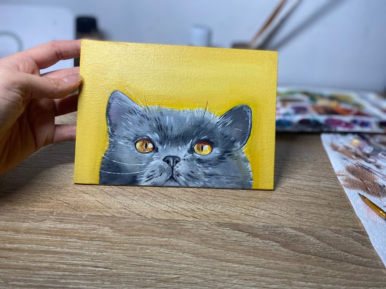 Peek a boo. Cat oil painting