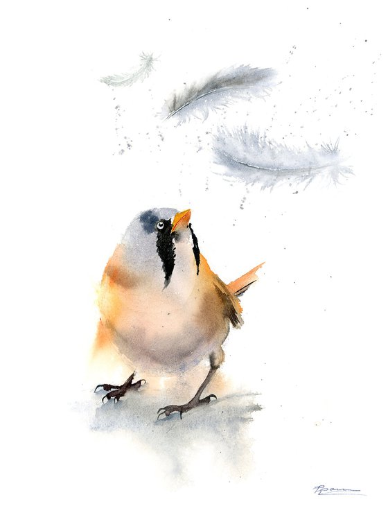 Birds And Feathers - triptych