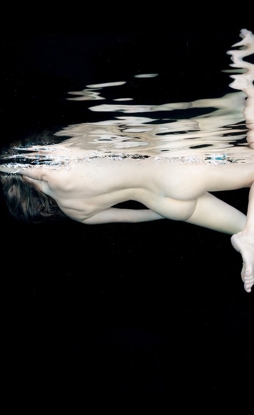 Porcelain II - underwater photograph - from series Porcelain - print on aluminum by Alex Sher