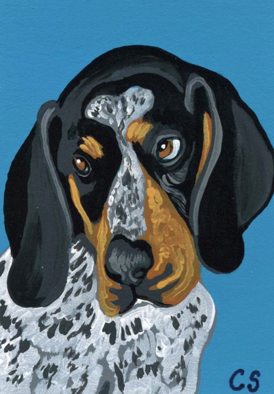 ACEO ATC Original Miniature Painting Blue Tick Coonhound Pet Dog Art-Carla Smale