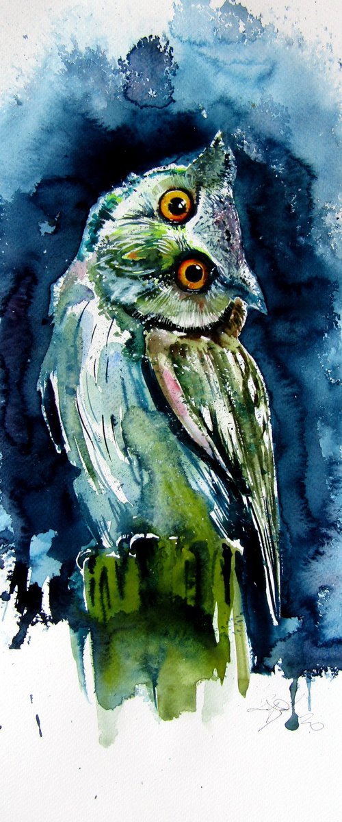Owl watching at night by Kovács Anna Brigitta