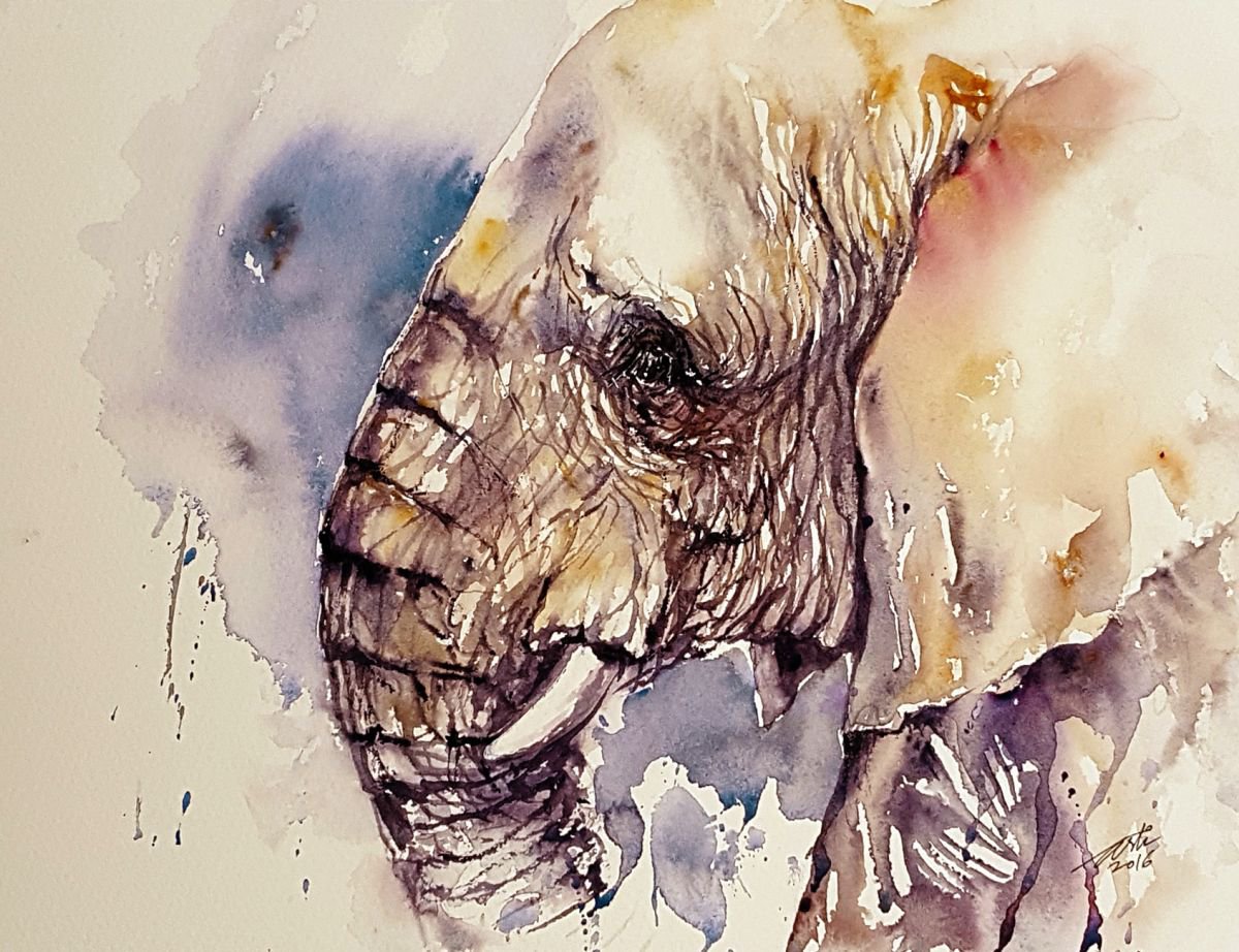 Elephant_Wrinkled by Arti Chauhan