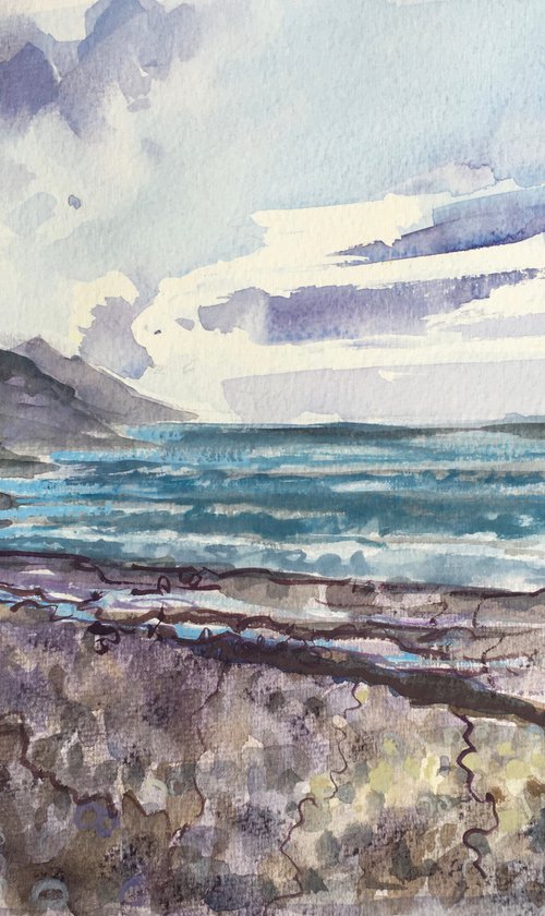 Crackington Haven winter, Cornwall by Louise Gillard