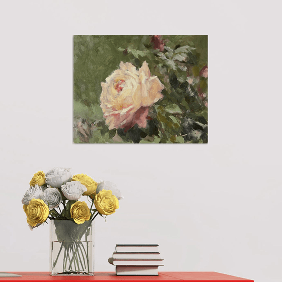 Study of a Peach Rose