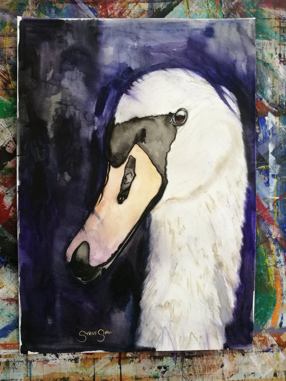 A Captivating Creature. Watercolour Swan. Birds. Animals. Free Shipping