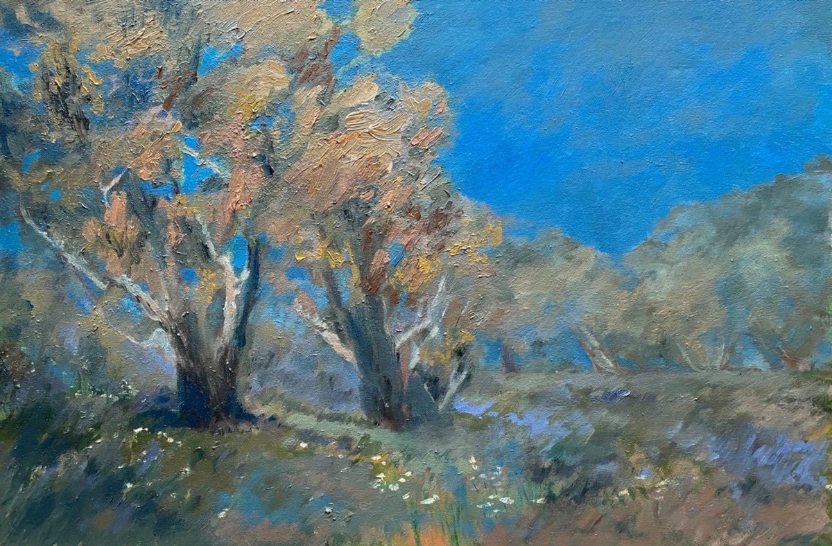 Impressionistic Landscape Oil Painting By Bohdan Vykhrenko, 24 X 16, Lunar Landscape, Original Artwork