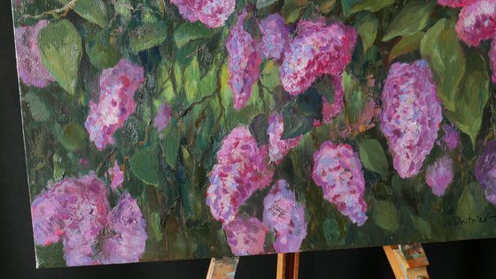 The Sunny Lilac Bush