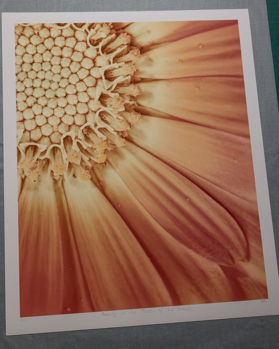 Beauty in the Piece of Beauty