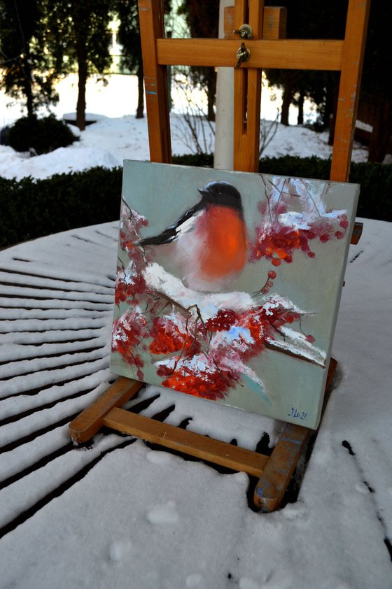 Bullfinch on a snowy rowan branch