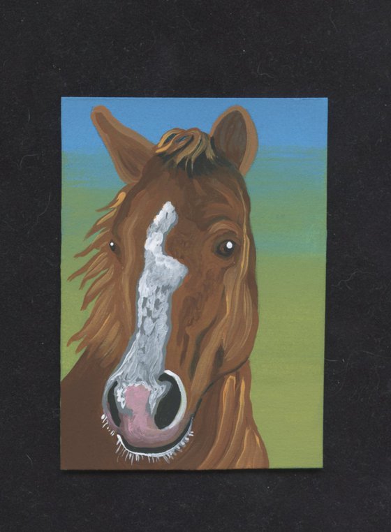 ACEO ATC Original Miniature Painting Horse Pony Farmyard Art-Carla Smale