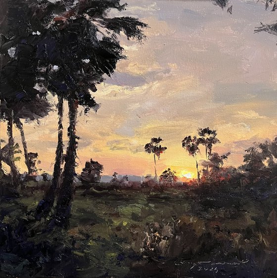 Before the Sun Rests