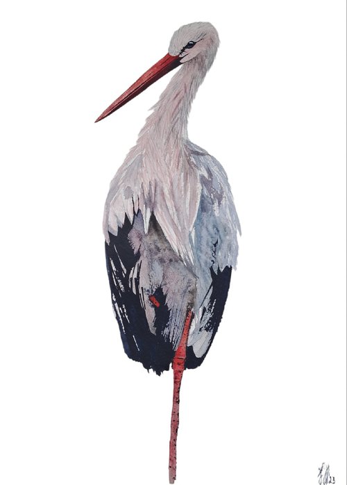 Stork by Yuliia Sharapova