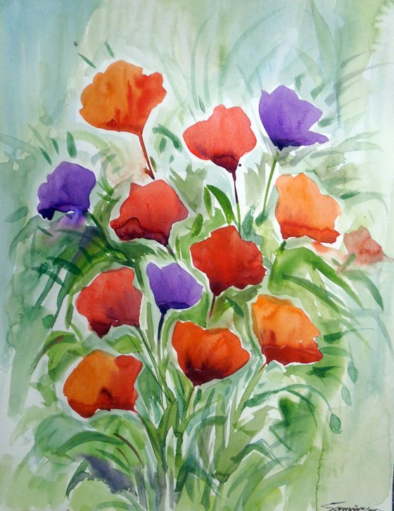 Beauty of Poppies Flowers V - Watercolor Painting