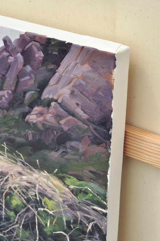 Brittany, coastal stream