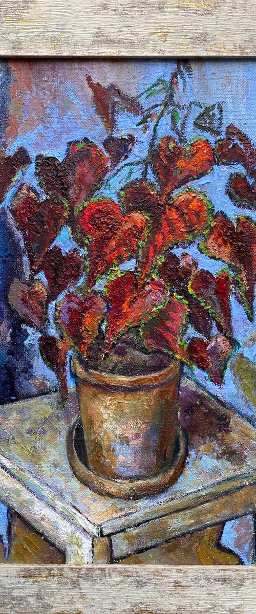 Romantic Still Life with Begonia in a Pot in Blue Frame by Zurab Sharvadze