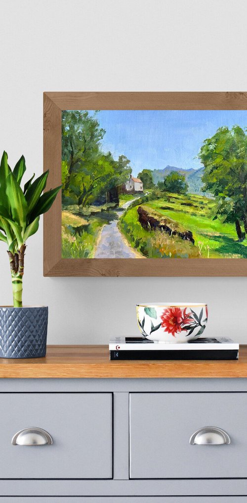 Pyrenees landscape by Toni Swiffen