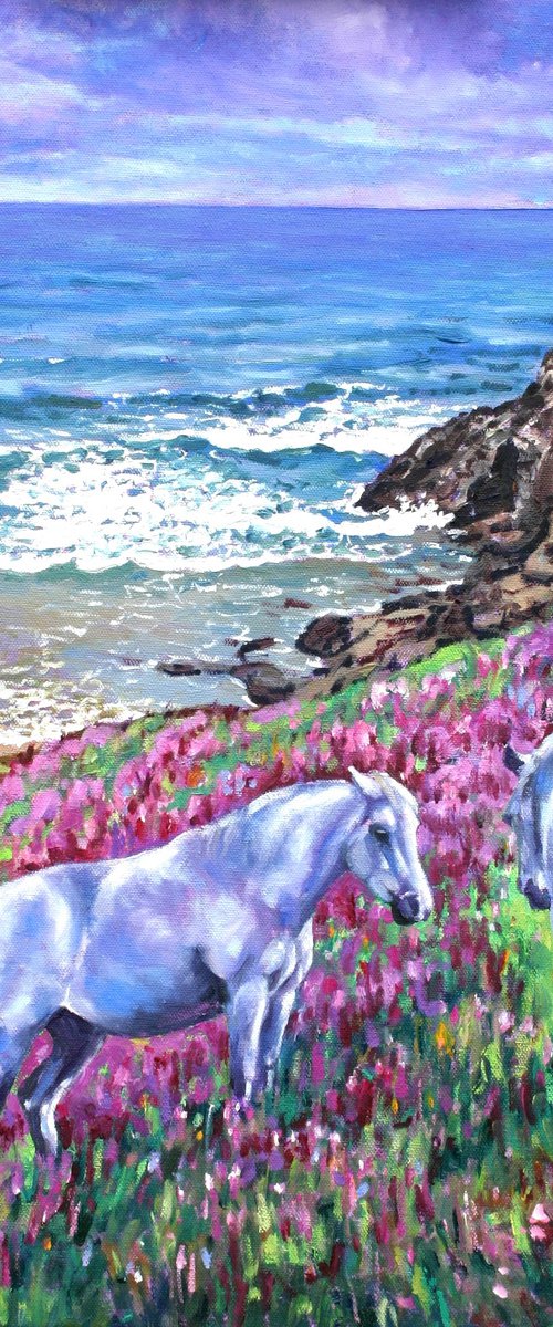 Wild Ponies by Zoe Elizabeth Norman