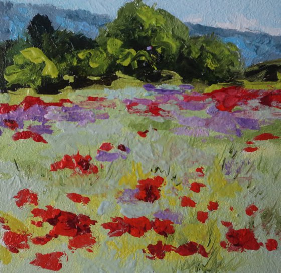 Red Poppy Field