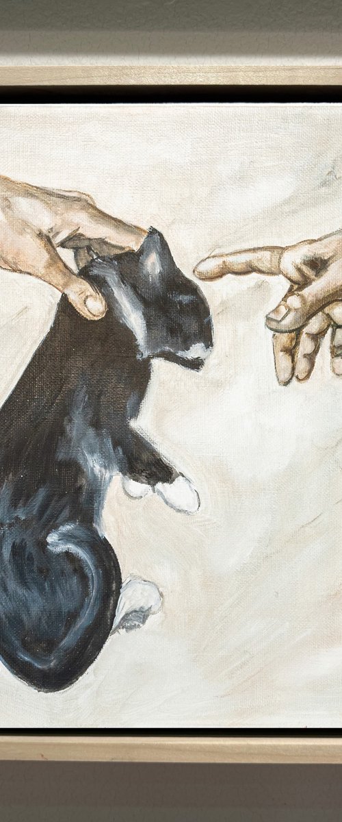 The Creation Of Purr by VICTO