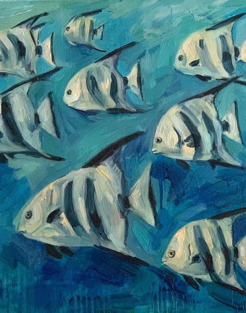 Fish by Olga Pascari