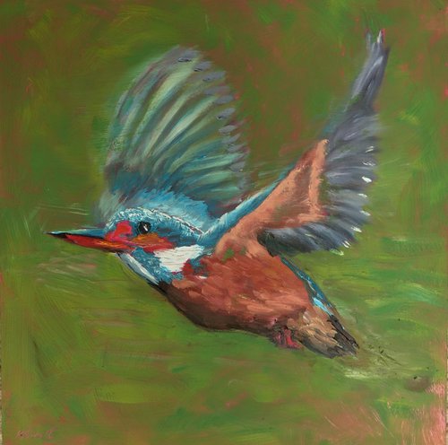 Flying Kingfisher by Marion Derrett