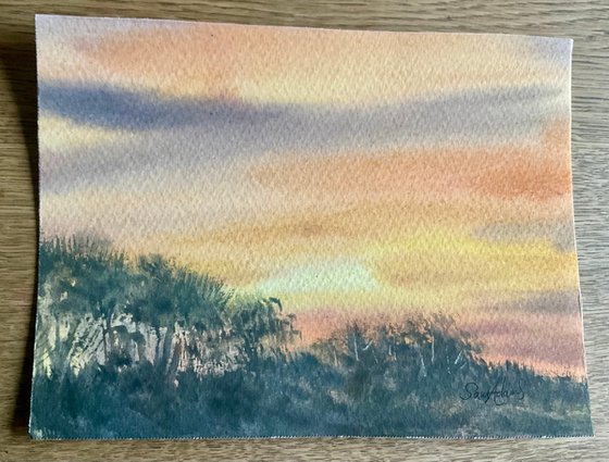 Studland heath sunset, Dorset