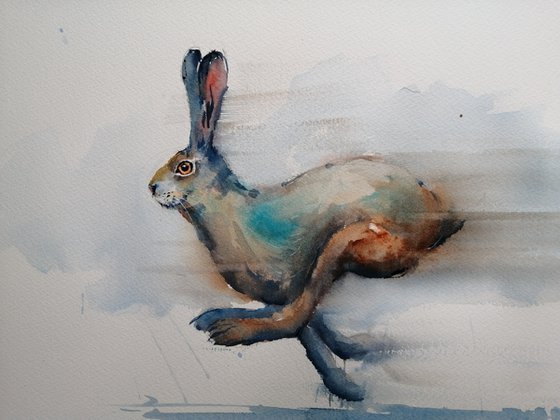 hare 10