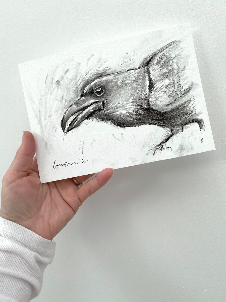 Raven #04 - charcoal drawing on matted paper - A5 148mm x 210mm by Luci Power