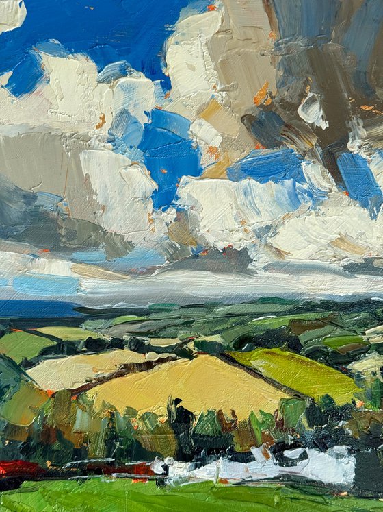 Fields of Light