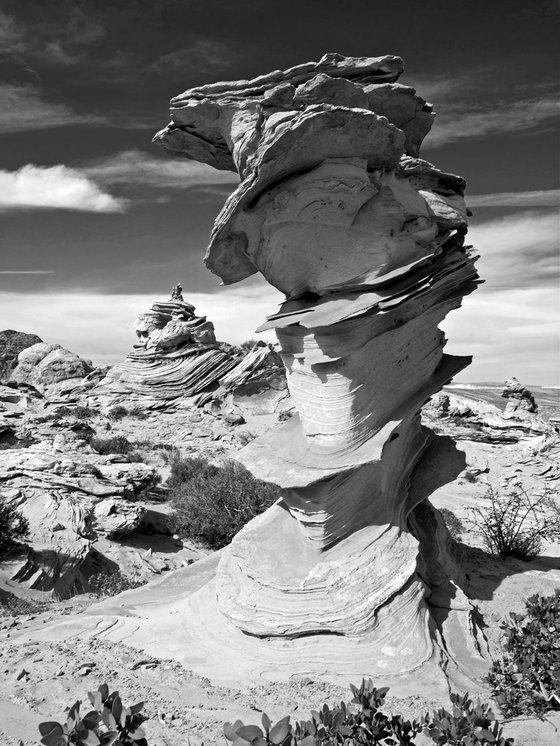 Dali Rock in the Coyote Buttes