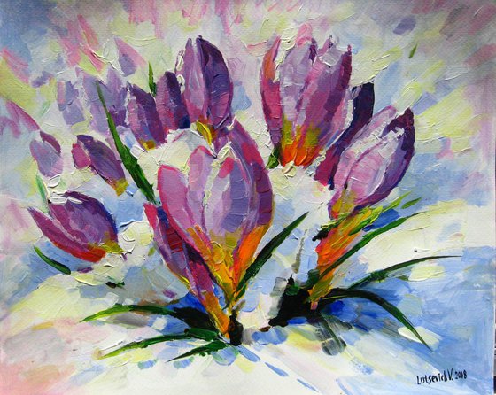 Crocuses