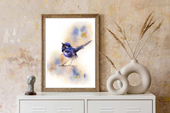 Fairy Wren Bird