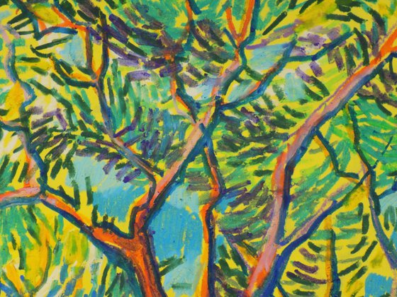 Olive grove No 5