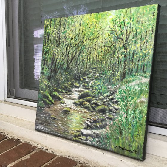 CREEK NEAR OLD FORT NC   (SOLD)