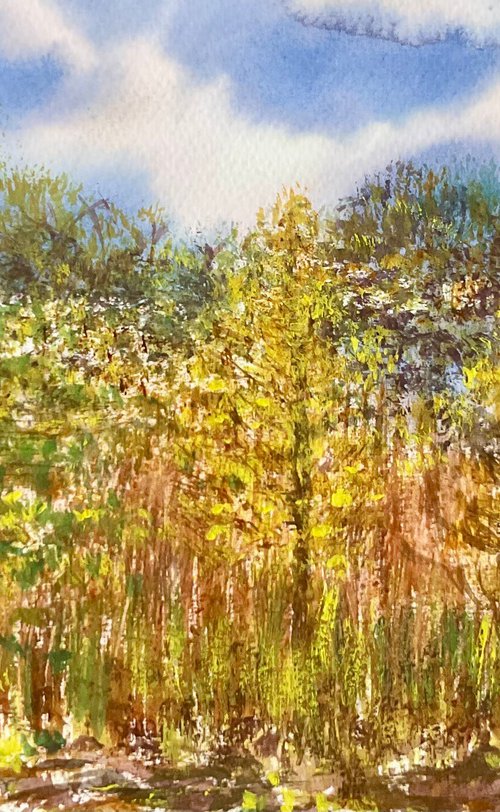 Seeing into nature by Samantha Adams