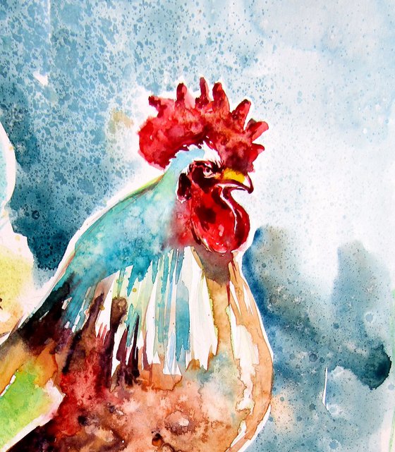 Rooster in the yard V