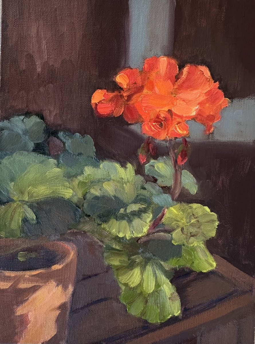 Impressionistic Botanical Oil Painting By Grace Diehl, 6 X 8, Blooming Geranium, Original Artwork