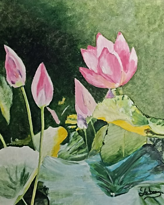 Pink lotus