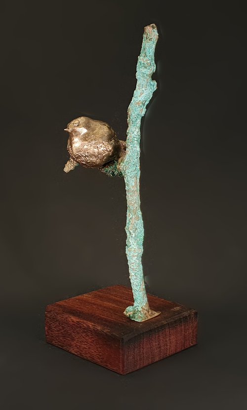 Shining Birdie by Wichert van Engelen