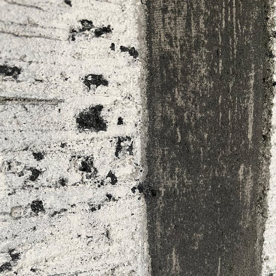 Vertical Concepts - Silent Fracture