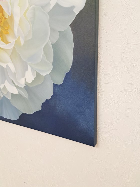 Peony extravaganza