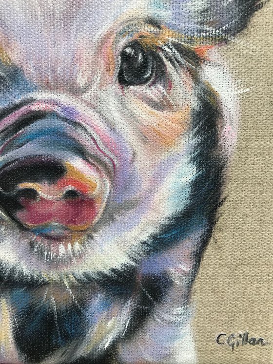 Twinkle Piglet Original Oil Painting on stretched linen canvas