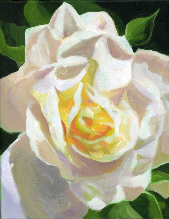 white rose