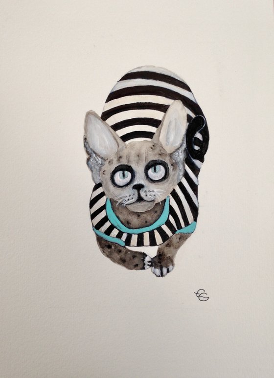 Sphynx cat with a striped suit