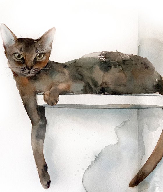 Abyssinian Cat Painting - Perfect Place