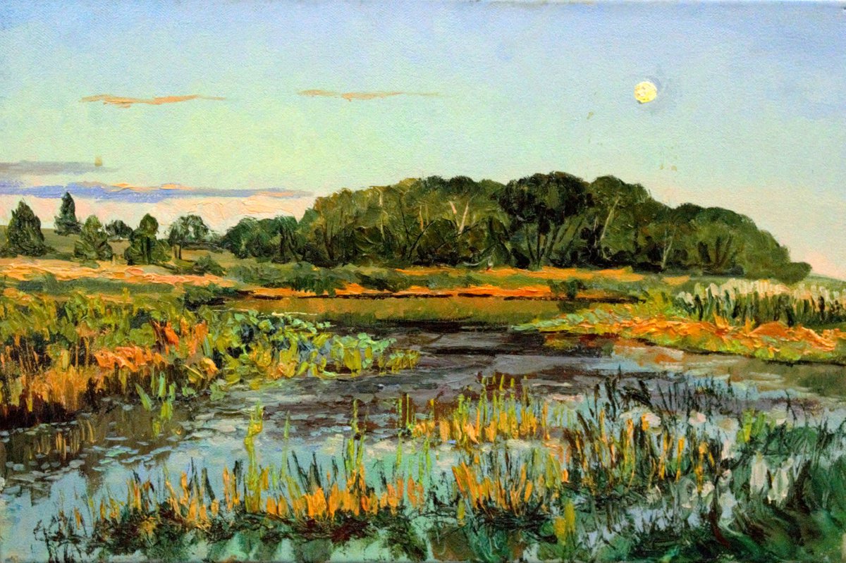 Sunset pond. Original canvas landscape by Dmitry Revyakin