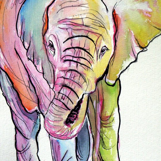Elephant baby