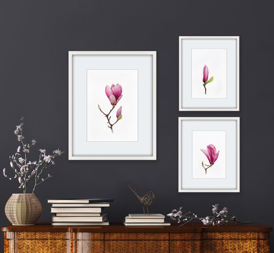 Magnolia blossom. Original watercolor artwork.