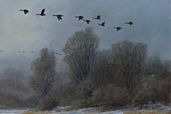 Geese on the run.
